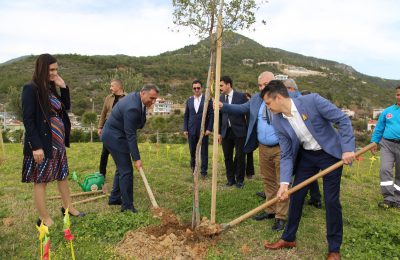 (Turkish) LİTVANLAR 30. BAĞIMSIZLIK YIL DÖNÜMÜNÜ MEŞE FİDANI DİKEREK KUTLADI