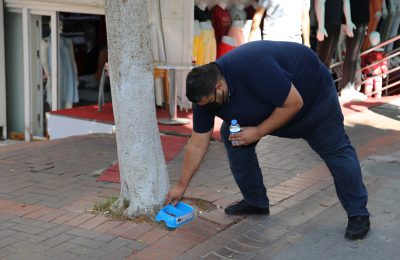 (Turkish) BAŞKAN ŞAHİN ALANYA’DA CAN DOSTLARIMIZI SEVİNDİRDİ