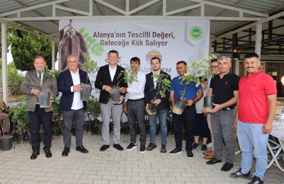 ALTSO KEÇİBOYNUZUNUN TESCİLİNİ ALDI, 3 BİN FİDAN DAĞITTI