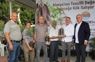 ALTSO KEÇİBOYNUZUNUN TESCİLİNİ ALDI, 3 BİN FİDAN DAĞITTI
