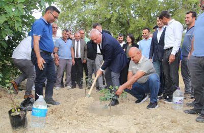 ALTSO KEÇİBOYNUZUNUN TESCİLİNİ ALDI, 3 BİN FİDAN DAĞITTI