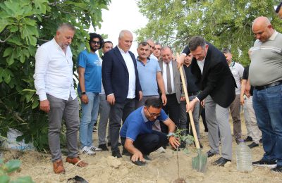 ALTSO KEÇİBOYNUZUNUN TESCİLİNİ ALDI, 3 BİN FİDAN DAĞITTI