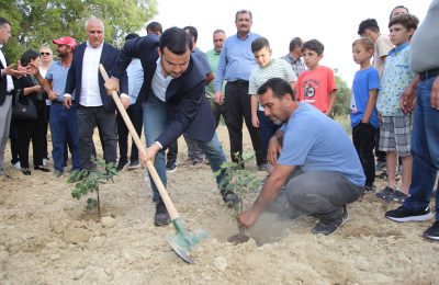 ALTSO KEÇİBOYNUZUNUN TESCİLİNİ ALDI, 3 BİN FİDAN DAĞITTI
