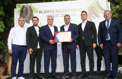 ALANYA KEÇİBOYNUZU HASAT ŞENLİĞİ VE COĞRAFİ İŞARET BELGE TÖRENİ GERÇEKLEŞTİRİLDİ