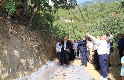 ALANYA KEÇİBOYNUZU HASAT ŞENLİĞİ VE COĞRAFİ İŞARET BELGE TÖRENİ GERÇEKLEŞTİRİLDİ