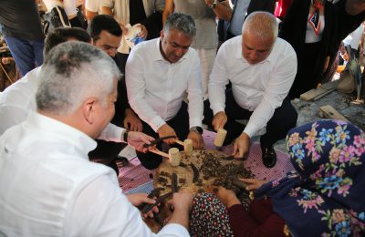 ALANYA KEÇİBOYNUZU HASAT ŞENLİĞİ VE COĞRAFİ İŞARET BELGE TÖRENİ GERÇEKLEŞTİRİLDİ